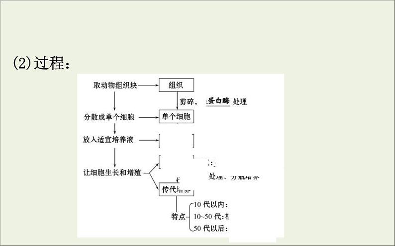 (通用版)高考生物一轮复习课件3.3动物细胞工程(含解析)第5页