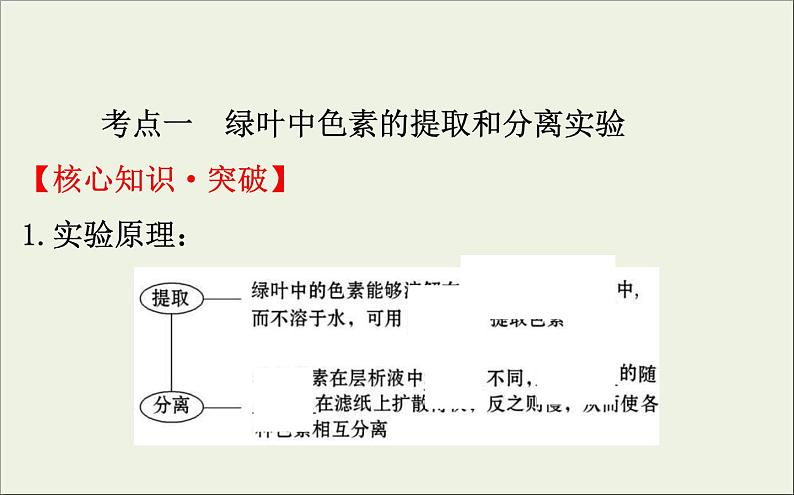 (通用版)高考生物一轮复习课件3.3能量之源__光与光合作用一(含解析)第4页