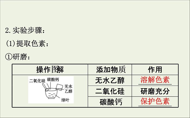 (通用版)高考生物一轮复习课件3.3能量之源__光与光合作用一(含解析)第5页