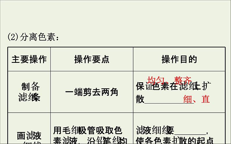 (通用版)高考生物一轮复习课件3.3能量之源__光与光合作用一(含解析)第7页