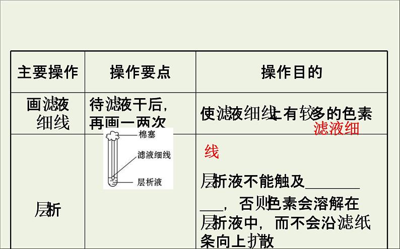 (通用版)高考生物一轮复习课件3.3能量之源__光与光合作用一(含解析)第8页