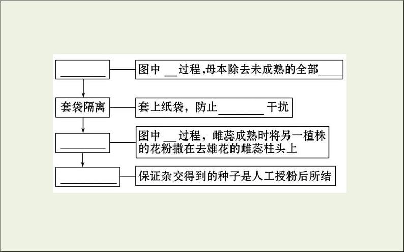 (通用版)高考生物一轮复习课件5.1孟德尔的豌豆杂交实验一(含解析)第7页