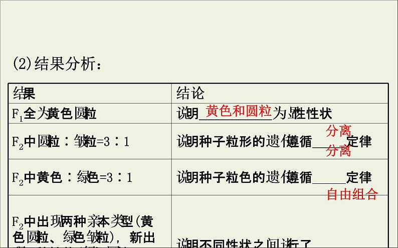 (通用版)高考生物一轮复习课件5.2孟德尔的豌豆杂交实验二(含解析)第6页