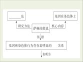 (通用版)高考生物一轮复习课件5.3基因在染色体上和伴性遗传(含解析)