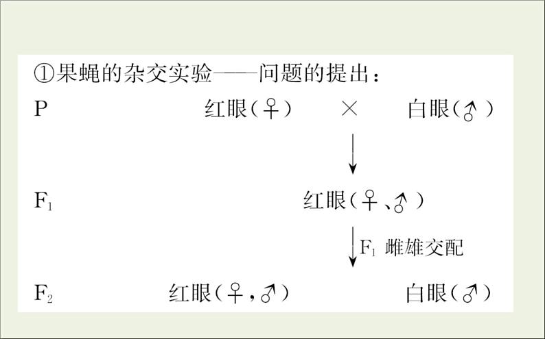 (通用版)高考生物一轮复习课件5.3基因在染色体上和伴性遗传(含解析)第8页