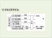 (通用版)高考生物一轮复习课件6.1DNA是主要的遗传物质(含解析)