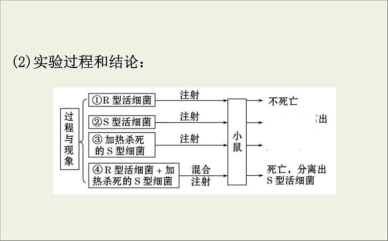 (通用版)高考生物一轮复习课件6.1DNA是主要的遗传物质(含解析)05