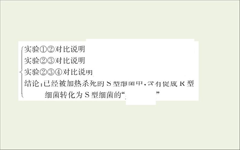 (通用版)高考生物一轮复习课件6.1DNA是主要的遗传物质(含解析)06