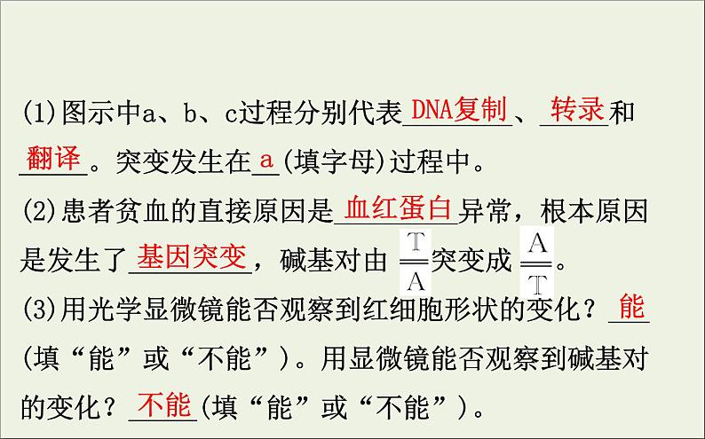 (通用版)高考生物一轮复习课件7.1基因突变和基因重组(含解析)第5页