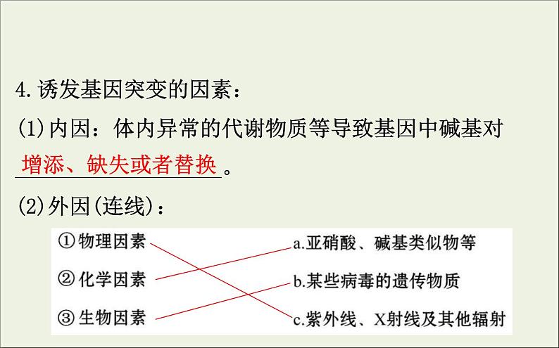 (通用版)高考生物一轮复习课件7.1基因突变和基因重组(含解析)第7页