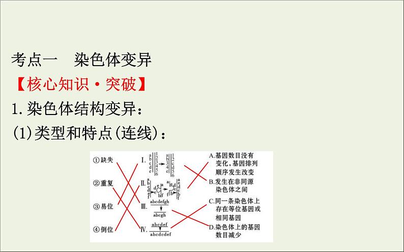 (通用版)高考生物一轮复习课件7.2染色体变异与生物育种(含解析)第4页