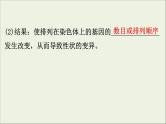 (通用版)高考生物一轮复习课件7.2染色体变异与生物育种(含解析)