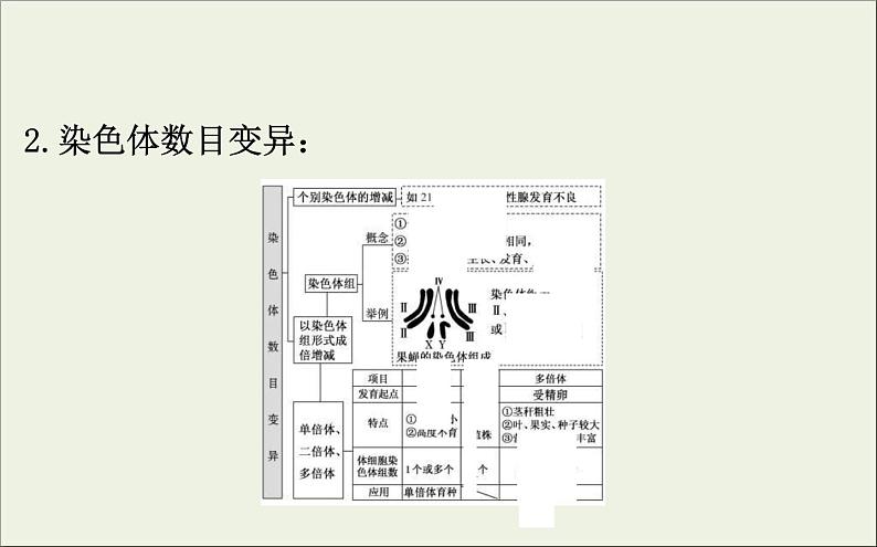 (通用版)高考生物一轮复习课件7.2染色体变异与生物育种(含解析)第6页