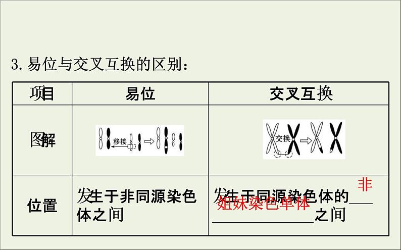 (通用版)高考生物一轮复习课件7.2染色体变异与生物育种(含解析)第7页