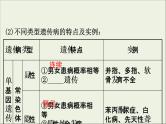 (通用版)高考生物一轮复习课件7.3人类遗传(含解析)
