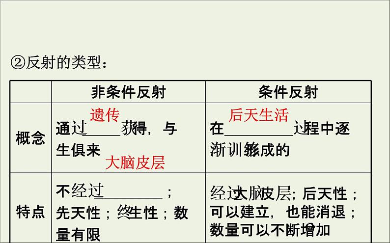 (通用版)高考生物一轮复习课件8.2通过神经系统的调节(含解析)第8页