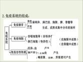 (通用版)高考生物一轮复习课件8.4免疫调节(含解析)