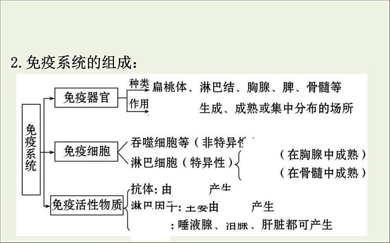 (通用版)高考生物一轮复习课件8.4免疫调节(含解析)第5页