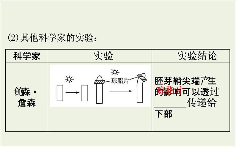 (通用版)高考生物一轮复习课件8.5植物的激素调节(含解析)07