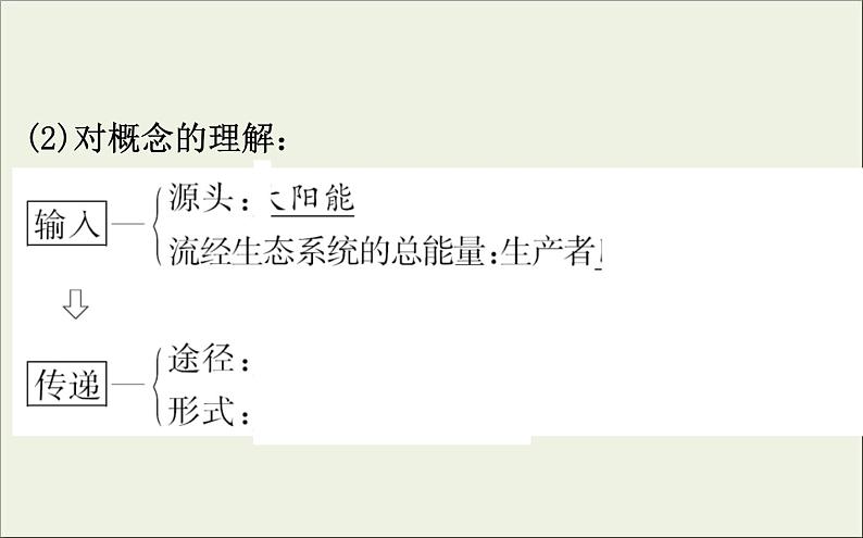 (通用版)高考生物一轮复习课件9.4生态系统的能量流动和物质循环(含解析)第5页