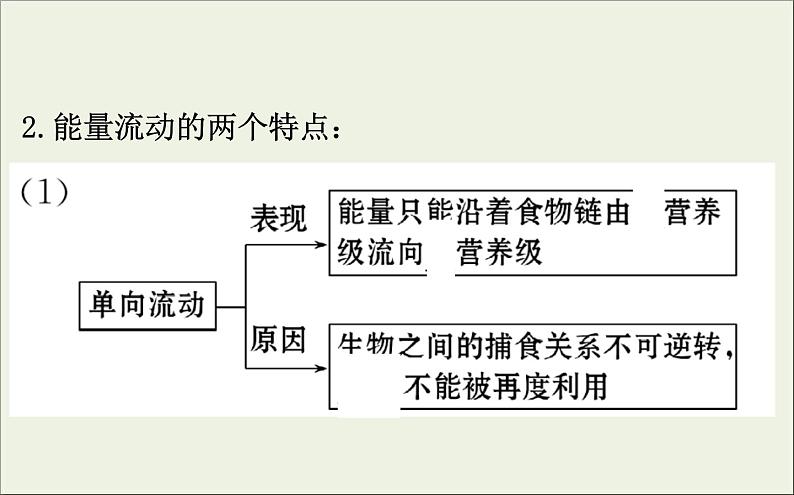 (通用版)高考生物一轮复习课件9.4生态系统的能量流动和物质循环(含解析)第7页