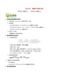 高考生物一轮复习考点一遍过考点04 细胞中的蛋白质(含解析)