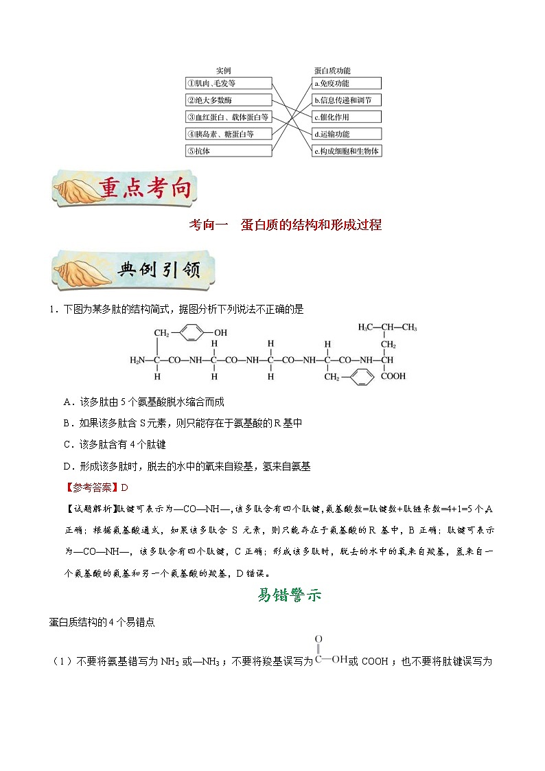 高考生物一轮复习考点一遍过考点04 细胞中的蛋白质(含解析) 试卷02