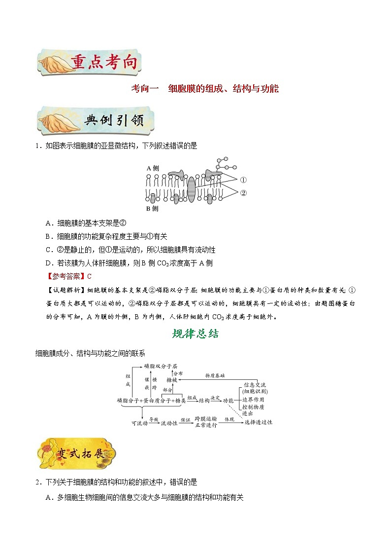 高考生物一轮复习考点一遍过考点08 细胞膜——系统的边界(含解析) 试卷02