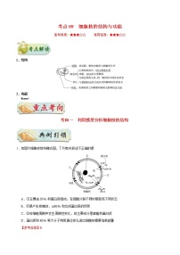 高考生物一轮复习考点一遍过考点09 细胞核的结构与功能(含解析)