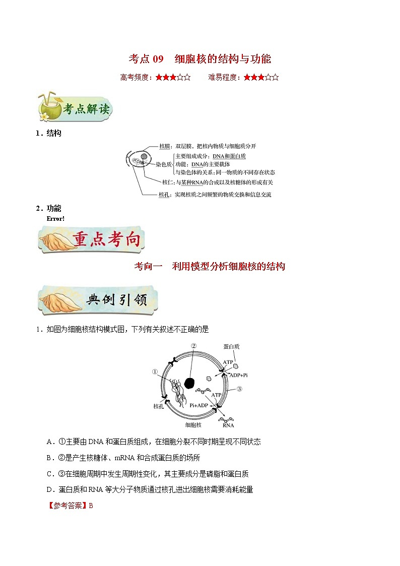 高考生物一轮复习考点一遍过考点09 细胞核的结构与功能(含解析) 试卷01