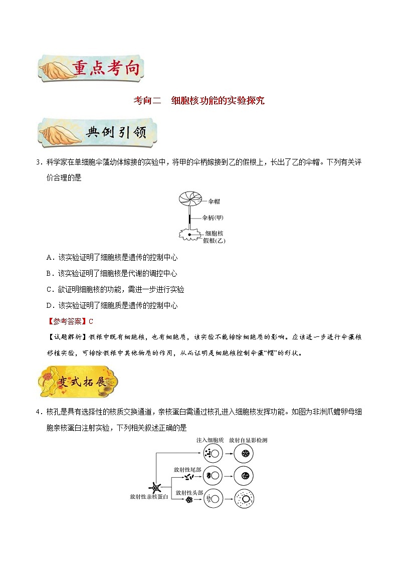 高考生物一轮复习考点一遍过考点09 细胞核的结构与功能(含解析) 试卷03