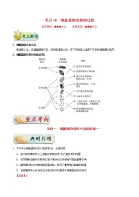 高考生物一轮复习考点一遍过考点10 细胞器的结构和功能(含解析)