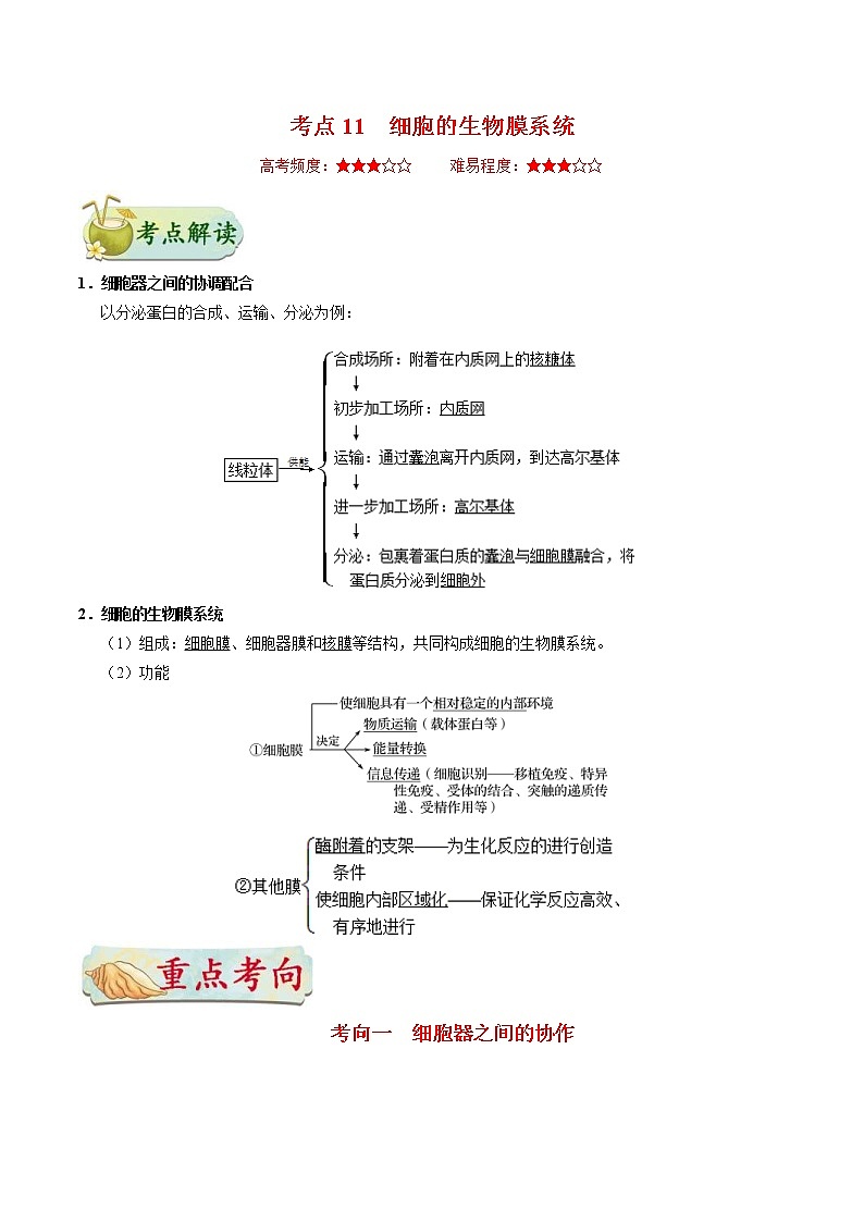 高考生物一轮复习考点一遍过考点11 细胞的生物膜系统(含解析) 试卷01
