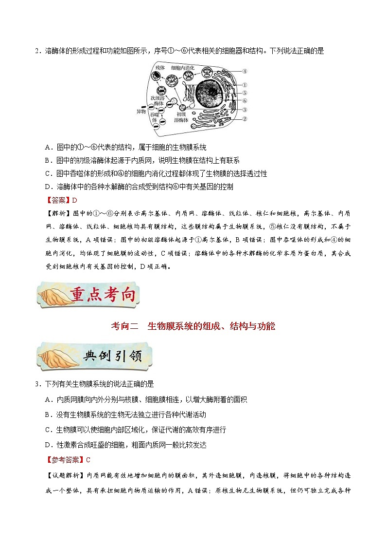 高考生物一轮复习考点一遍过考点11 细胞的生物膜系统(含解析) 试卷03