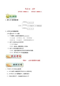 高考生物一轮复习考点一遍过考点16 ATP(含解析)