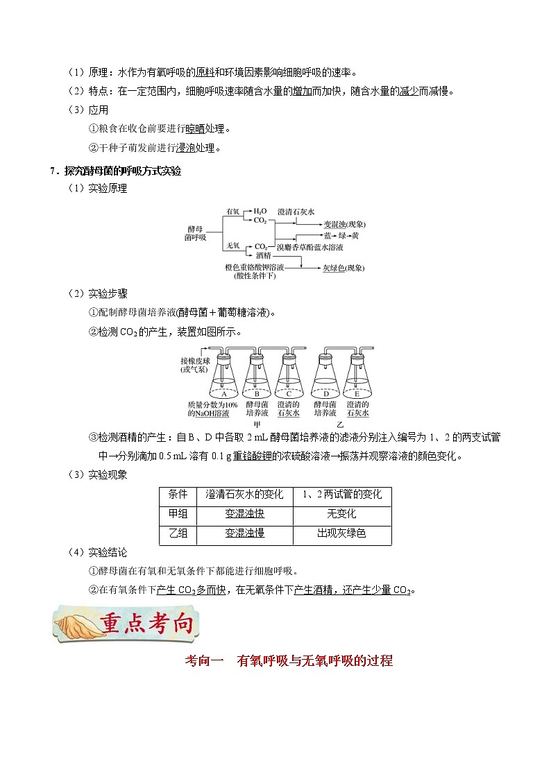 高考生物一轮复习考点一遍过考点17 细胞呼吸(含解析)第3页