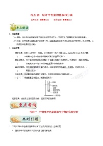 高考生物一轮复习考点一遍过考点18 绿叶中色素的提取和分离(含解析)