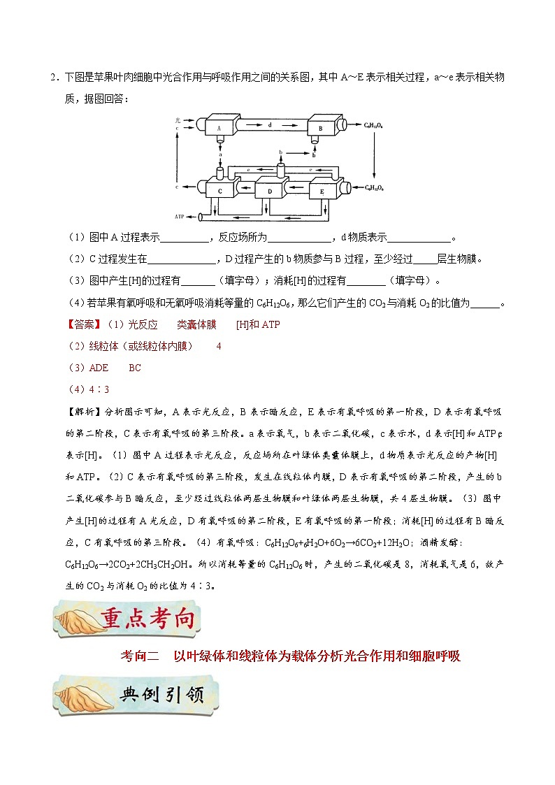 高考生物一轮复习考点一遍过考点20 光合作用和细胞呼吸的综合(含解析)第3页