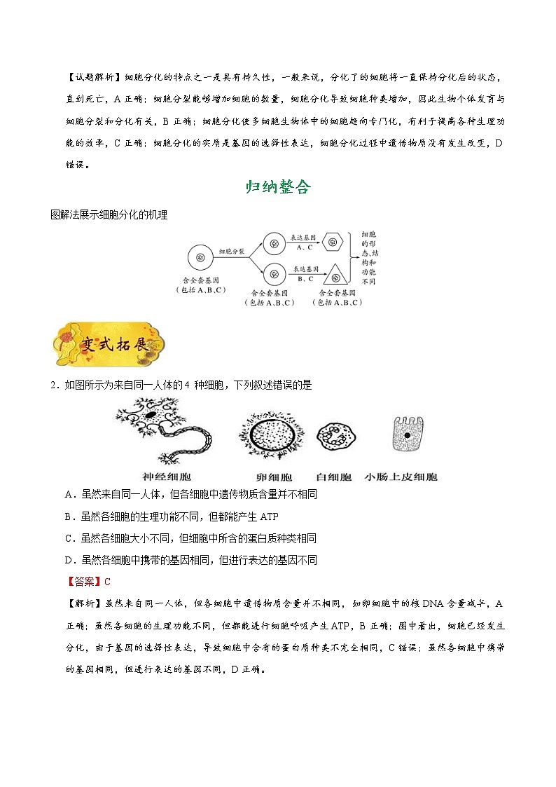 高考生物一轮复习考点一遍过考点23 细胞的分化和细胞的全能性(含解析)第2页
