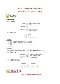 高考生物一轮复习考点一遍过考点24 细胞的衰老、凋亡和癌变(含解析)