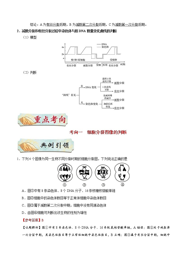 高考生物一轮复习考点一遍过考点26 减数分裂和有丝分裂的综合(含解析)第2页