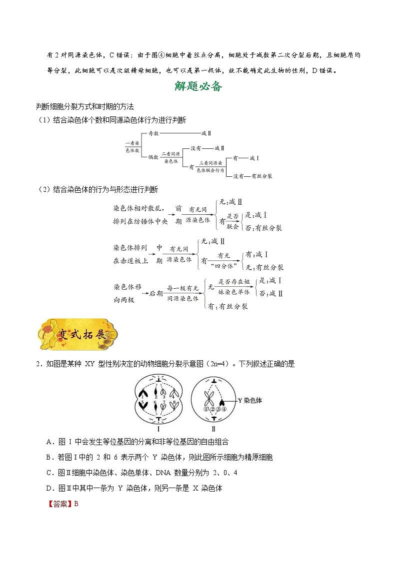 高考生物一轮复习考点一遍过考点26 减数分裂和有丝分裂的综合(含解析)第3页