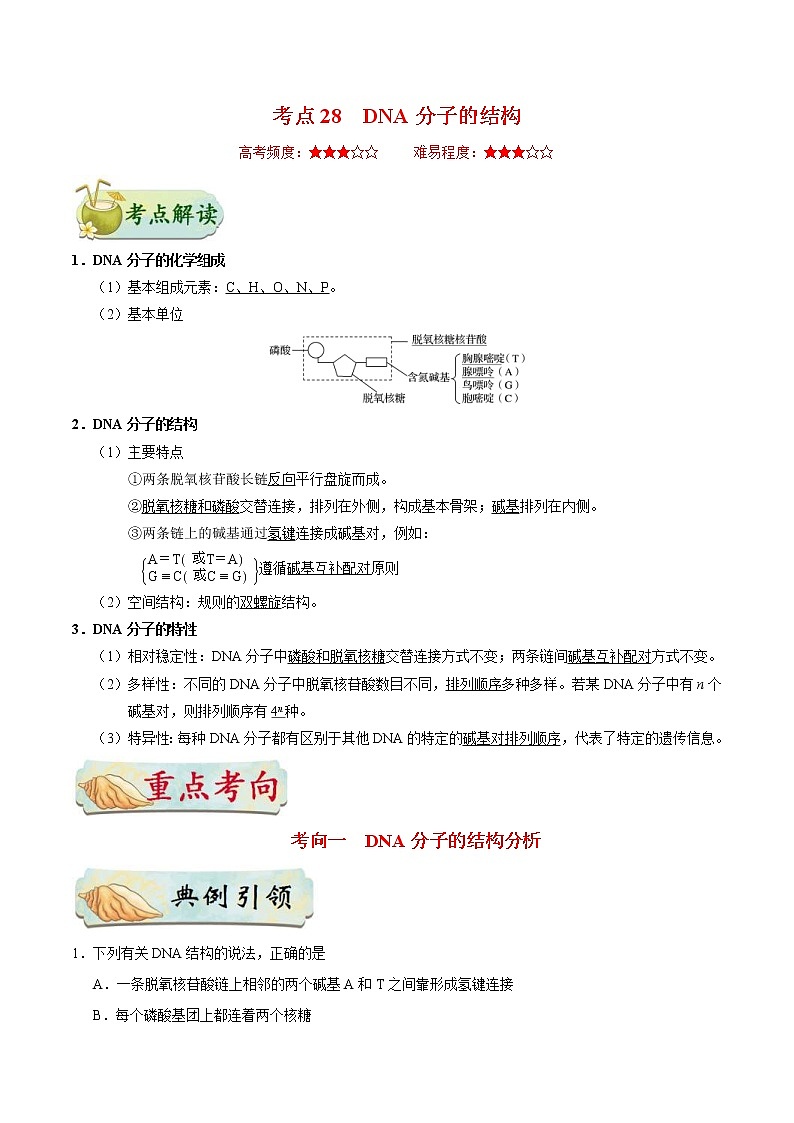高考生物一轮复习考点一遍过考点28 DNA分子的结构(含解析) 试卷01