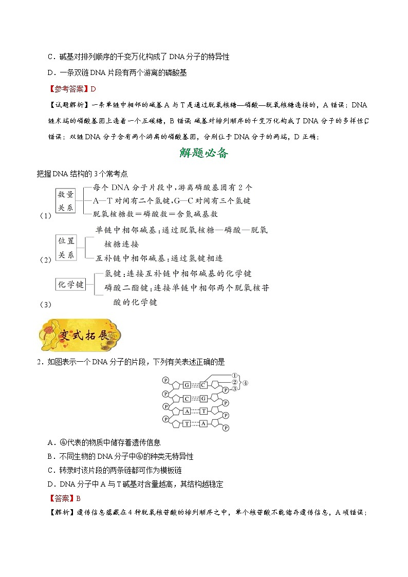高考生物一轮复习考点一遍过考点28 DNA分子的结构(含解析) 试卷02