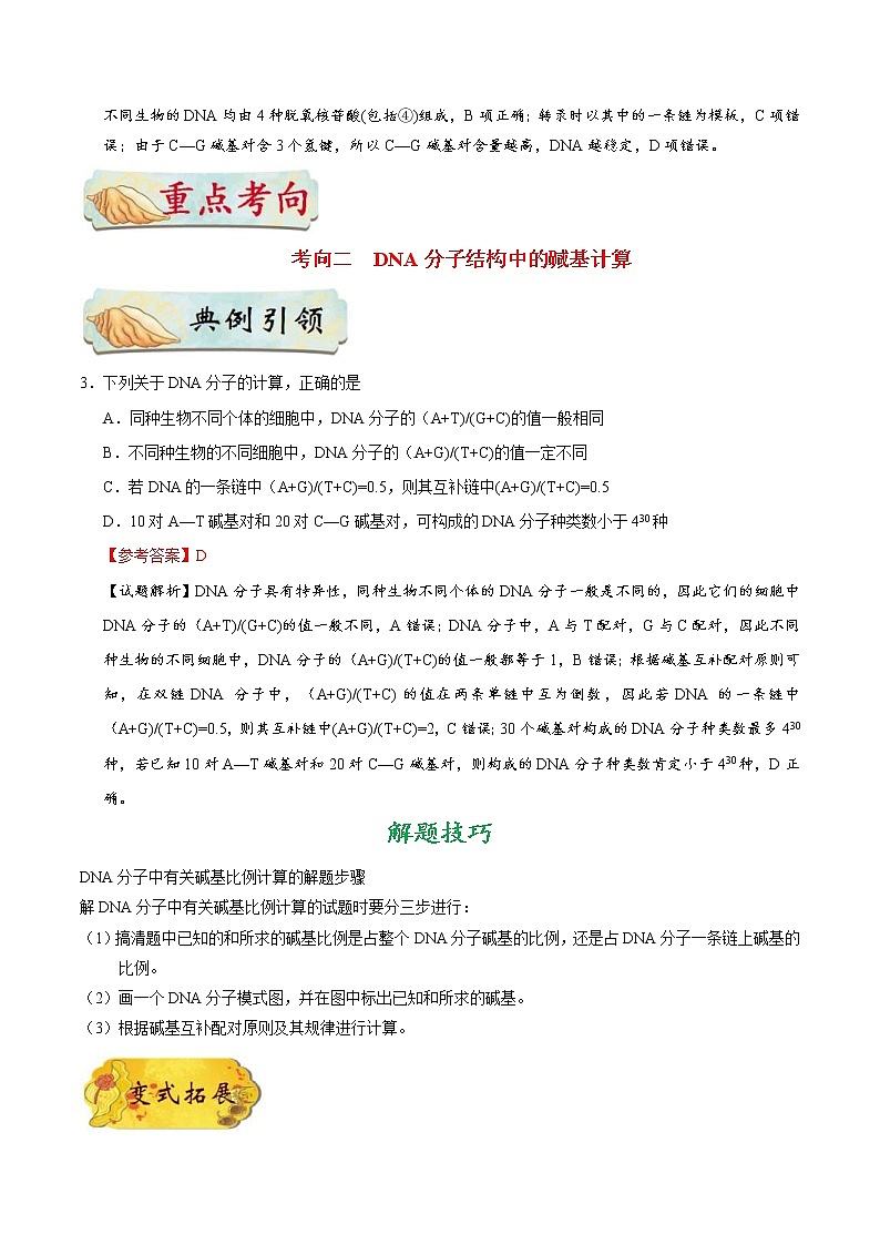 高考生物一轮复习考点一遍过考点28 DNA分子的结构(含解析) 试卷03