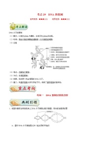 高考生物一轮复习考点一遍过考点29 DNA的复制(含解析)