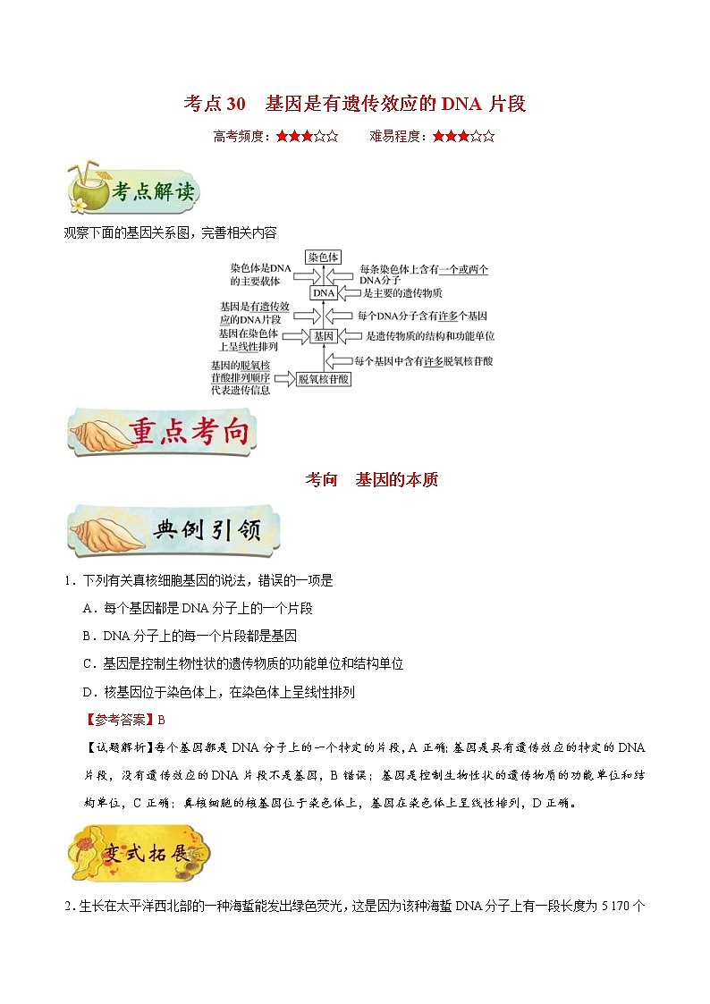 高考生物一轮复习考点一遍过考点30 基因是有遗传效应的DNA片段(含解析) 试卷01