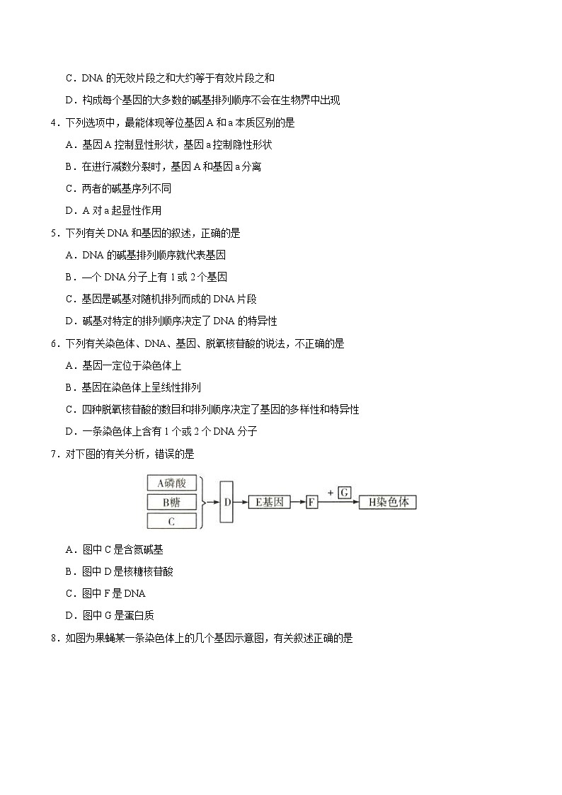 高考生物一轮复习考点一遍过考点30 基因是有遗传效应的DNA片段(含解析) 试卷03