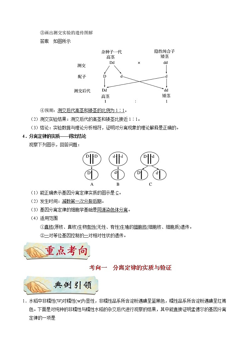高考生物一轮复习考点一遍过考点35 基因的分离定律(含解析) 试卷02