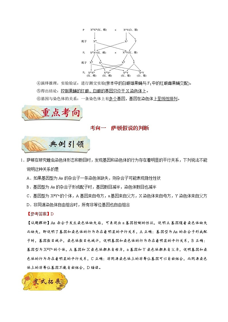 高考生物一轮复习考点一遍过考点39 基因在染色体上(含解析) 试卷02